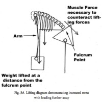 Conservative Treatments for Lower Back Pain