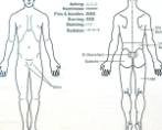 Pain Diagram