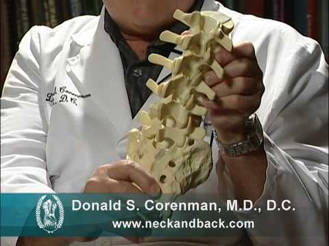 Anatomy of Lumbar Spine